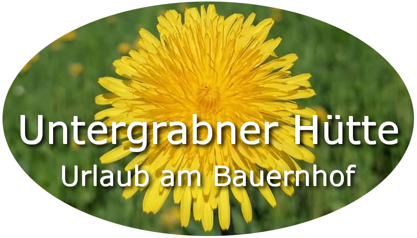 Logo - Untergrabner Hütte - Aigen im Ennstal - Steiermark